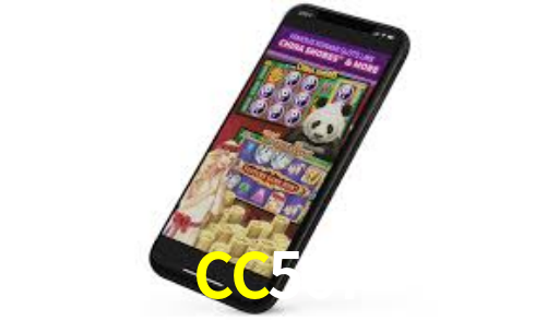 Interface Premium CC567